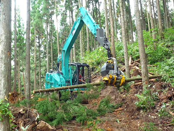 高性能林業機械（ハーベスタ）による伐木造材