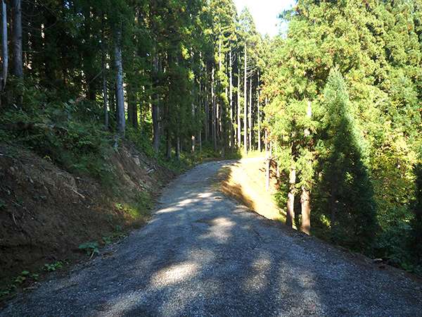 森林経営計画区域内に完成した林業専用道